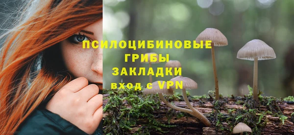 первитин Балахна